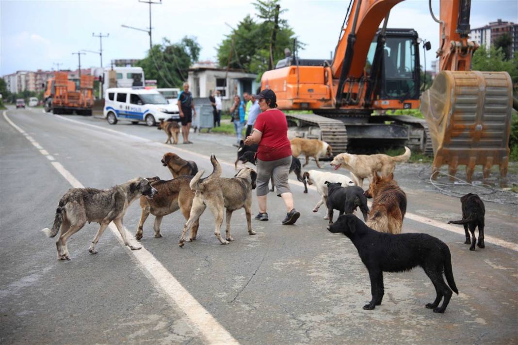 Selin faturası gün ağarınca ortaya çıktı! Korkunç manzara 5