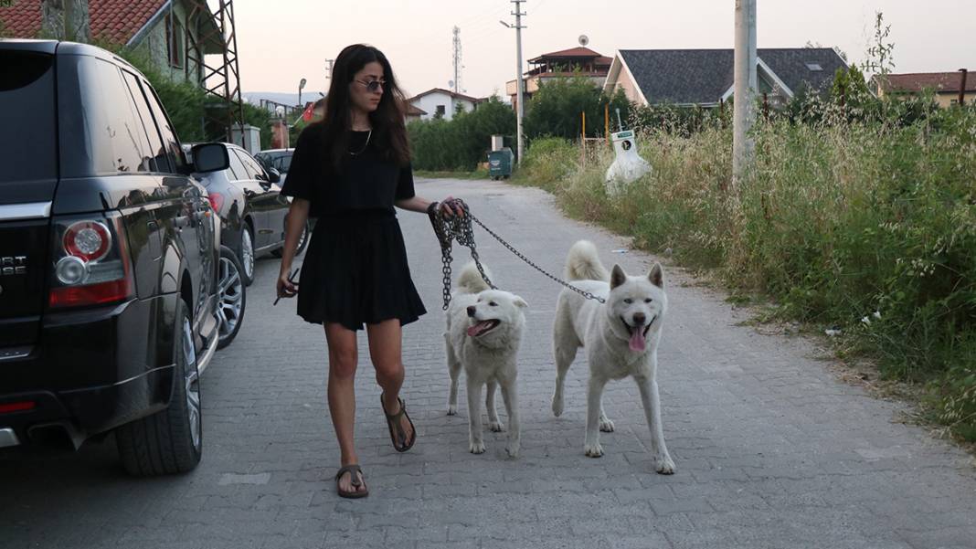 Sakarya'da korkunç cinayet! 13 parçaya ayrılan cesetlerin başları bulunamadı 2