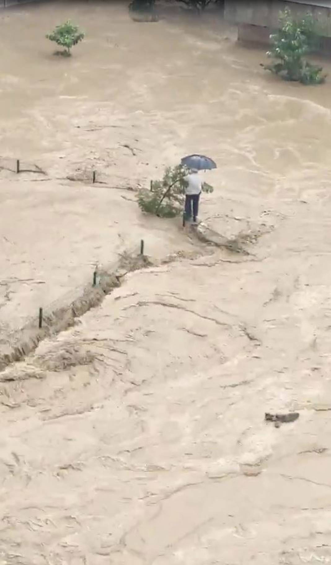 Rize ve Artvin'de sel felaketi! İple kurtarıldılar, cumaya kadar sürecek 24