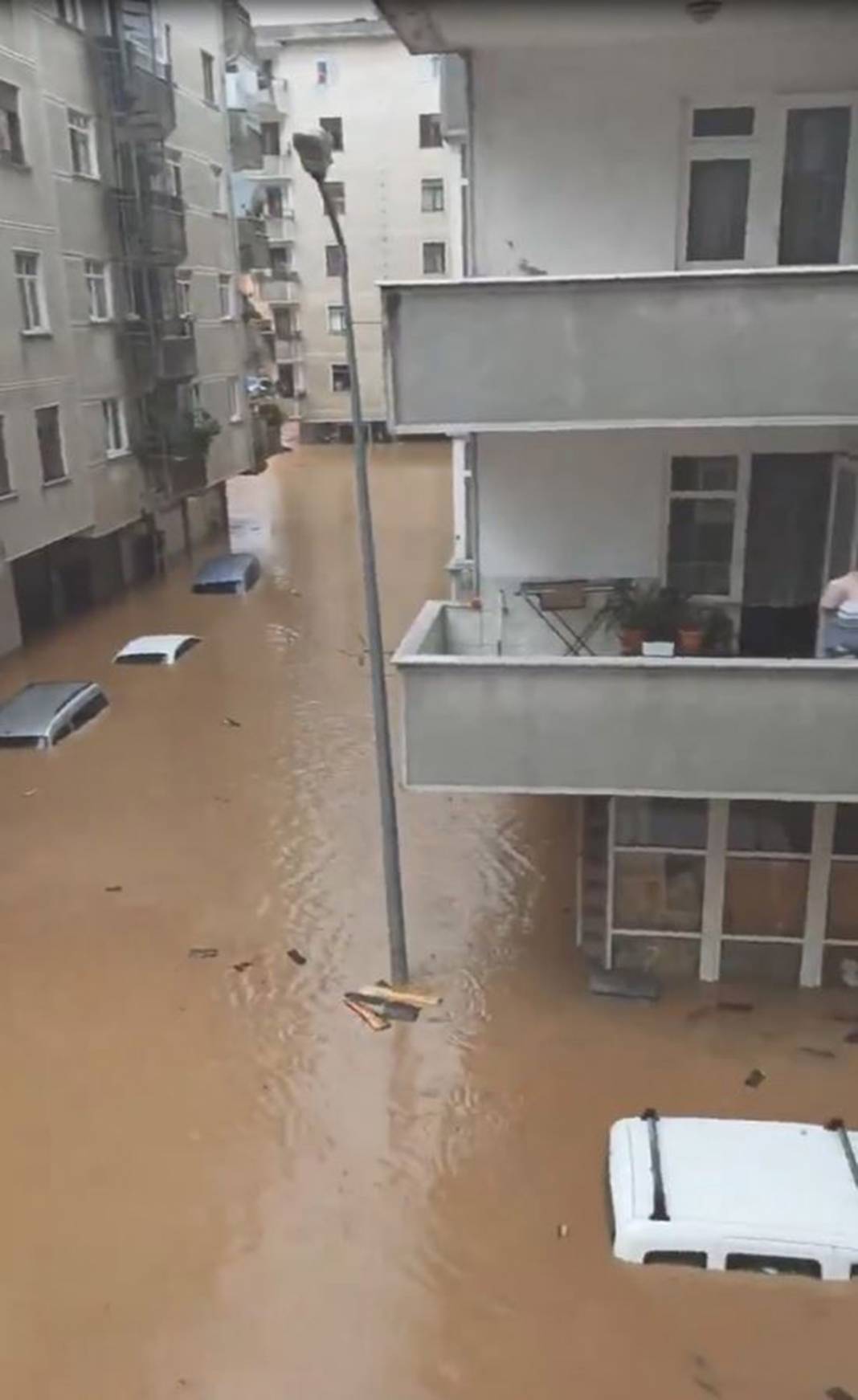 Rize ve Artvin'de sel felaketi! İple kurtarıldılar, cumaya kadar sürecek 26