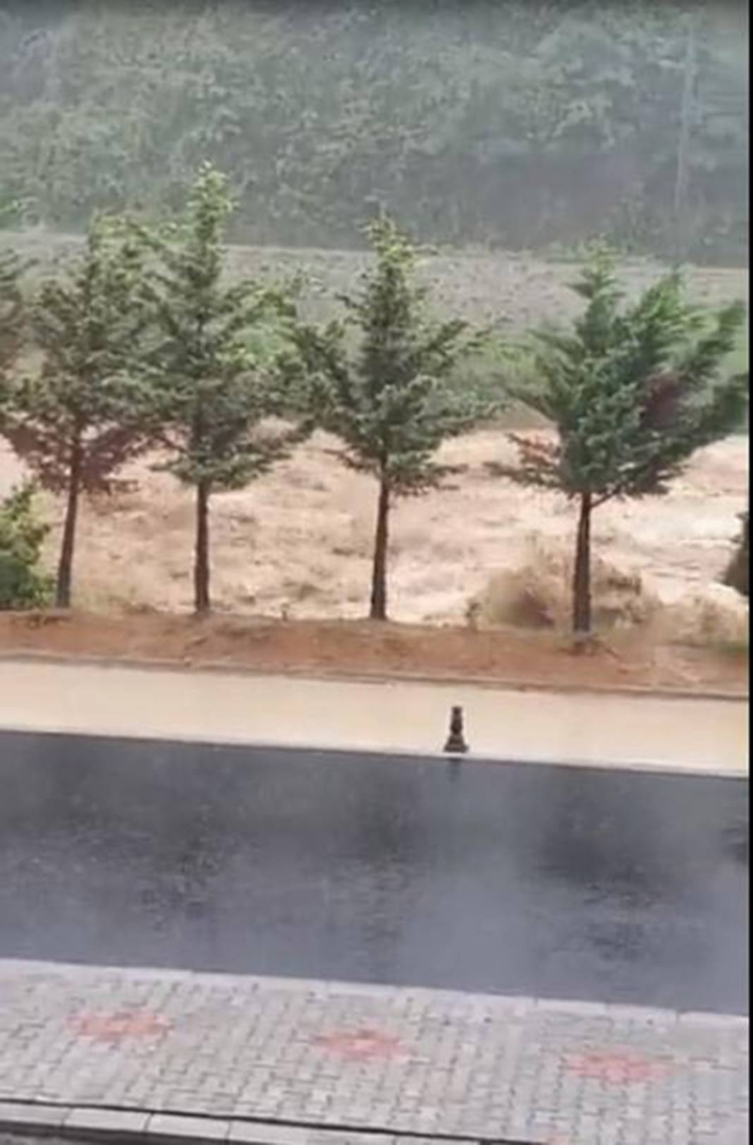 Rize ve Artvin'de sel felaketi! İple kurtarıldılar, cumaya kadar sürecek 9