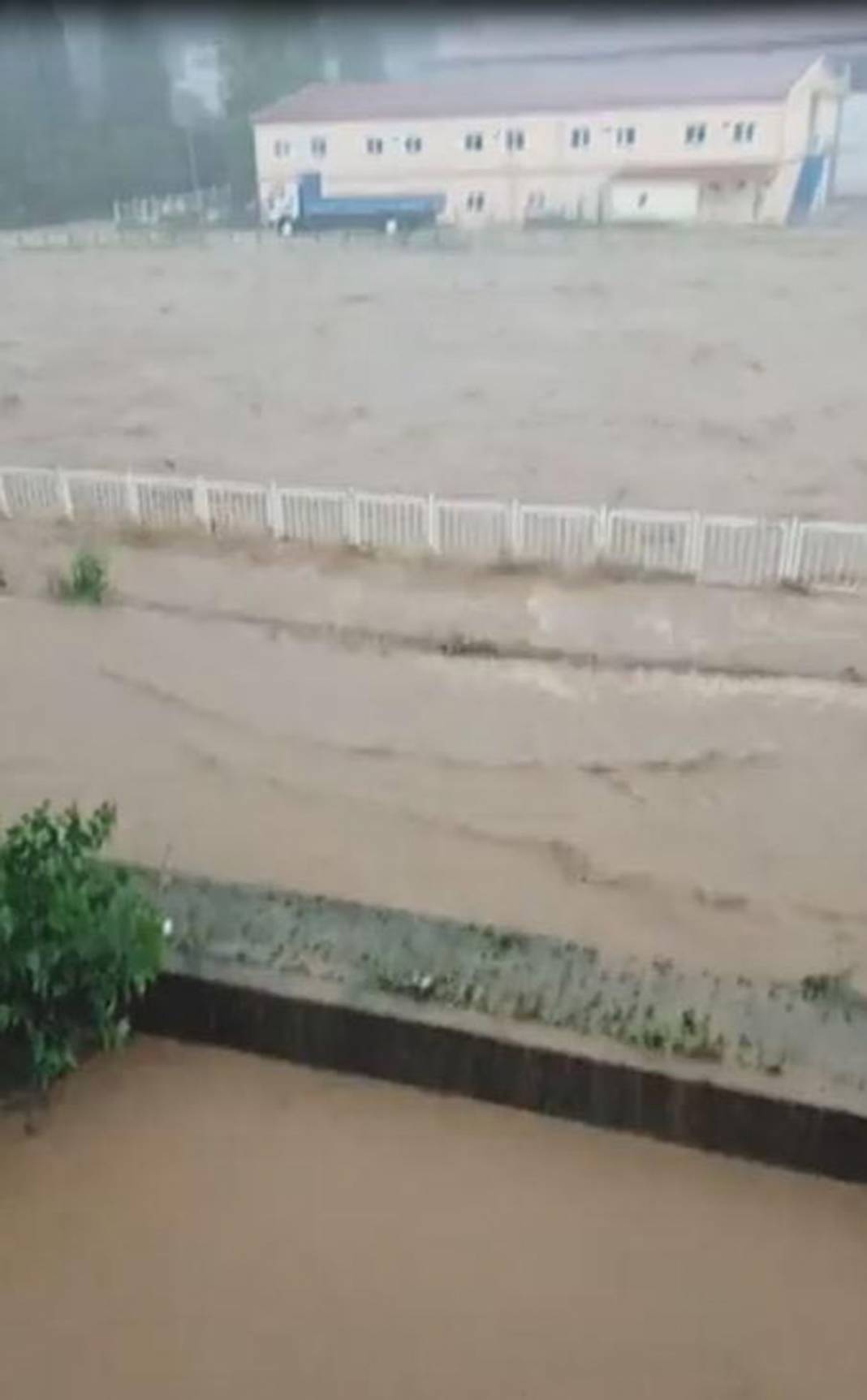 Rize ve Artvin'de sel felaketi! İple kurtarıldılar, cumaya kadar sürecek 10