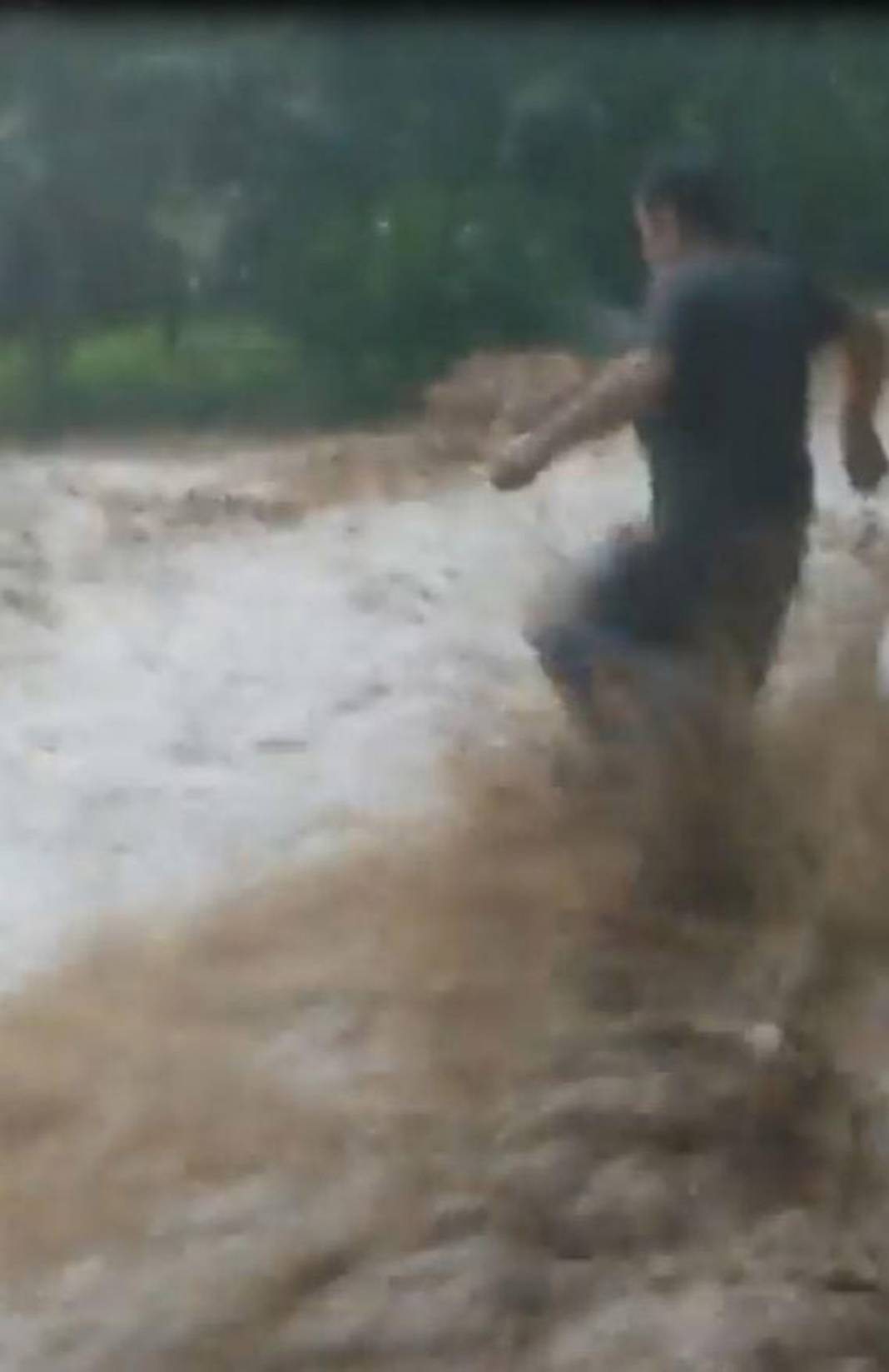 Rize ve Artvin'de sel felaketi! İple kurtarıldılar, cumaya kadar sürecek 15