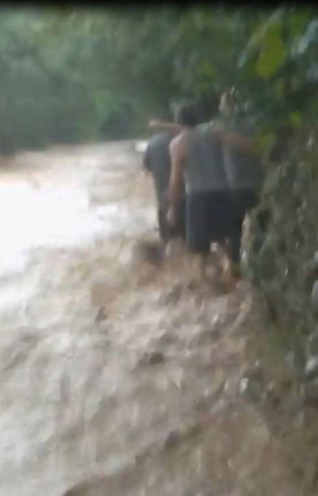 Rize ve Artvin'de sel felaketi! İple kurtarıldılar, cumaya kadar sürecek 16