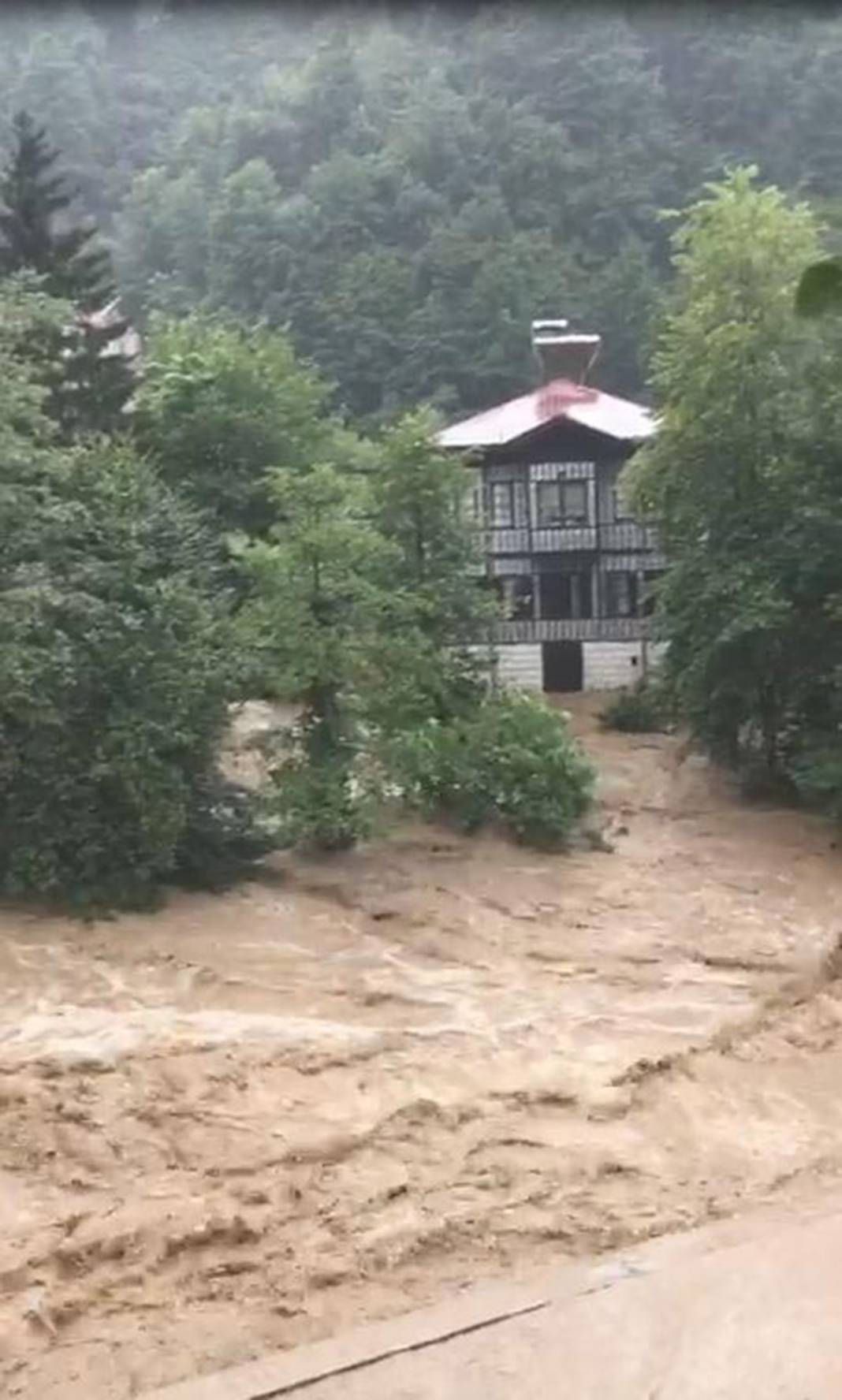 Rize ve Artvin'de sel felaketi! İple kurtarıldılar, cumaya kadar sürecek 5