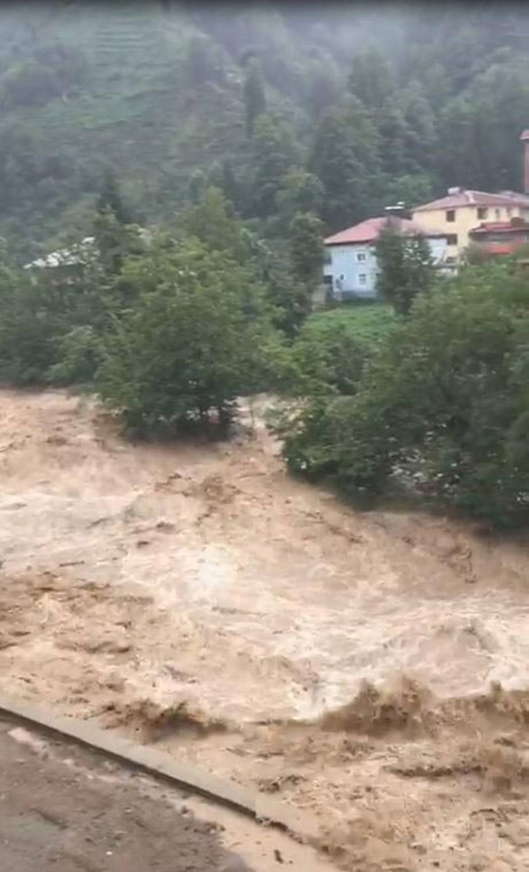 Rize ve Artvin'de sel felaketi! İple kurtarıldılar, cumaya kadar sürecek 6