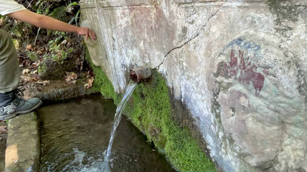 2 bin yıllık lahit ormandan çıktı 2