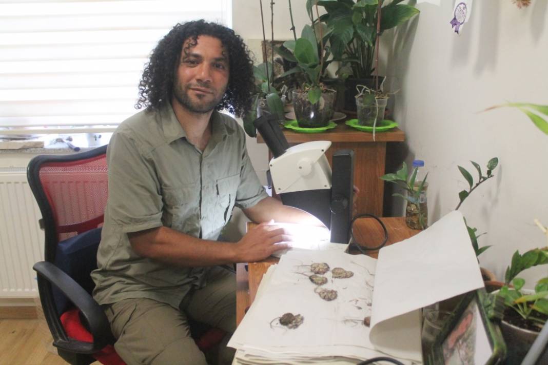 Yeni keşfedildi, Aziz Sancar'ın adını taşıyacak 6