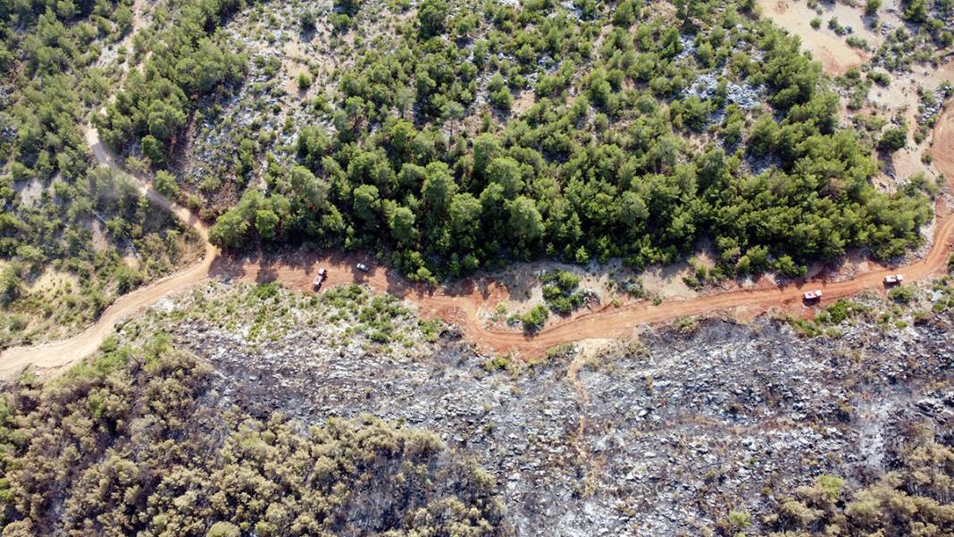 Alanya'daki orman yangınlarında çok sayıda ev zarar gördü 2