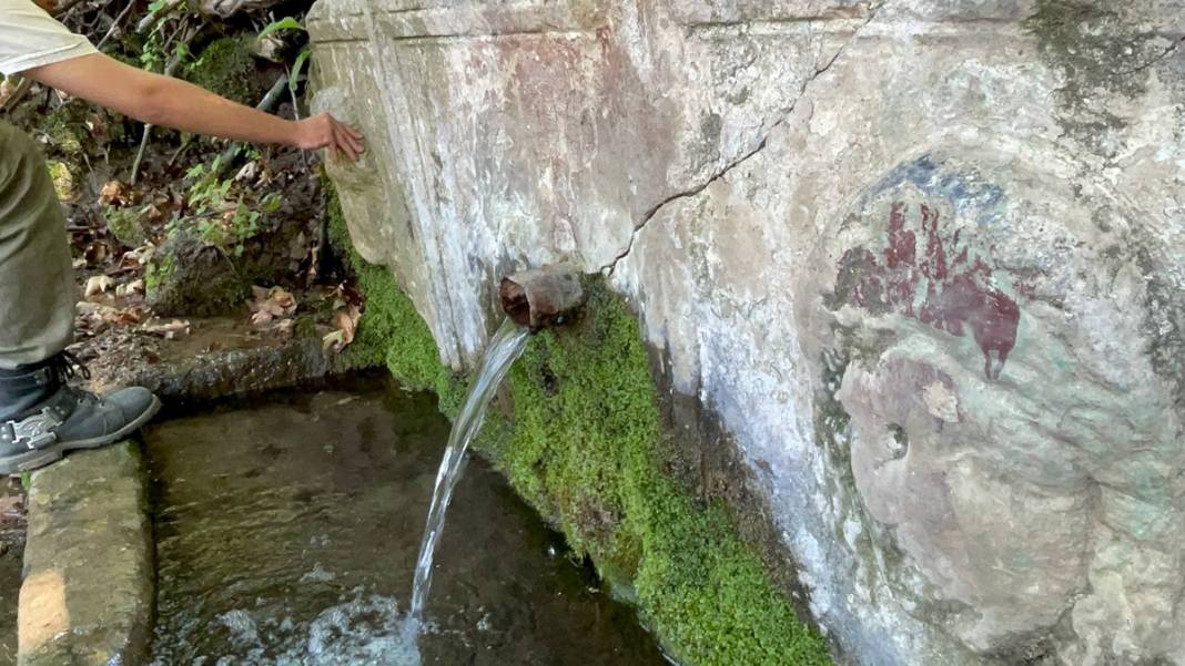 2 bin yıllık lahit ormandan çıktı 4
