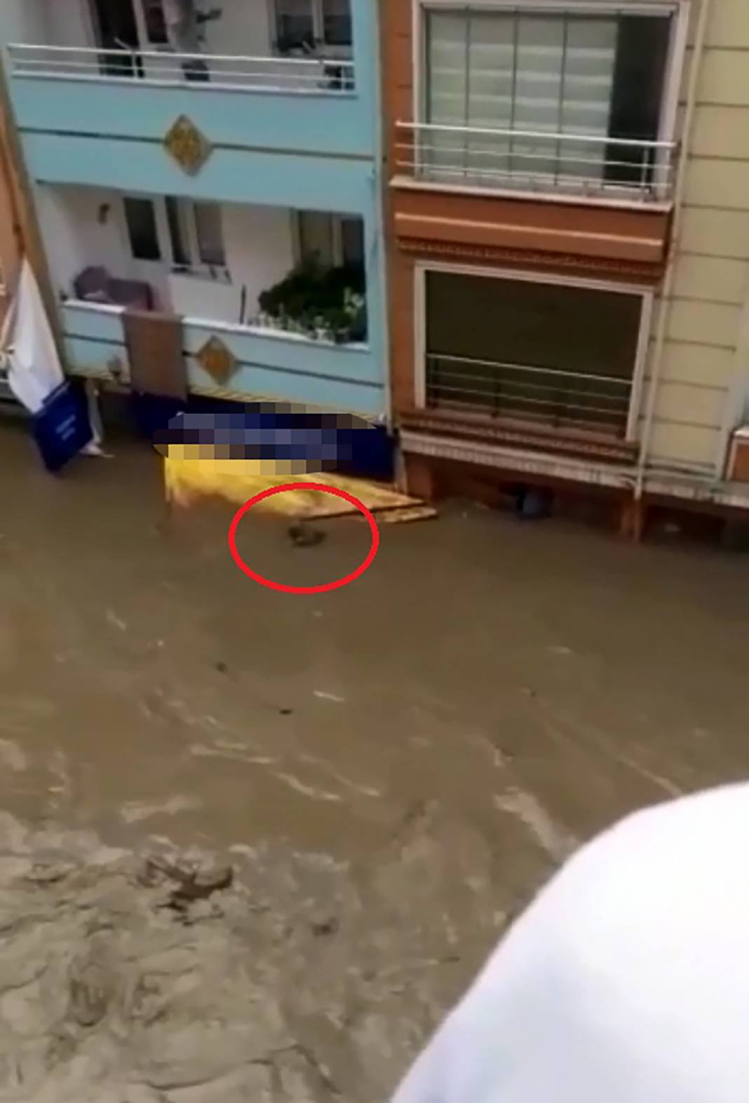 Gün ağarınca ortaya çıktı! İşte fotoğraflara yaşanan felaket... 89