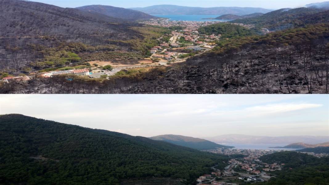 Burası Marmaris! Yemyeşildi şimdi küle döndü 2