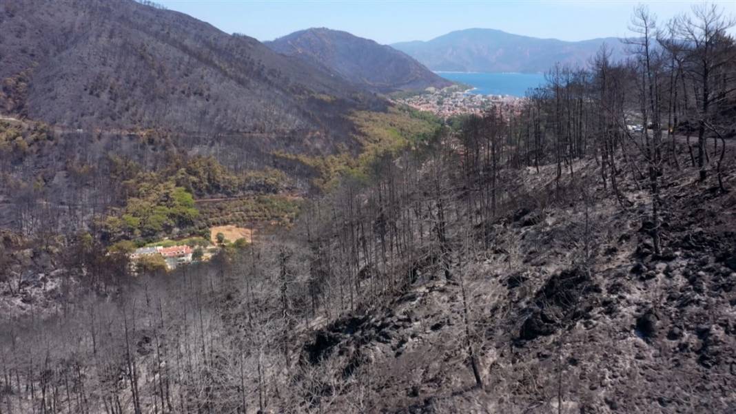 Burası Marmaris! Yemyeşildi şimdi küle döndü 5