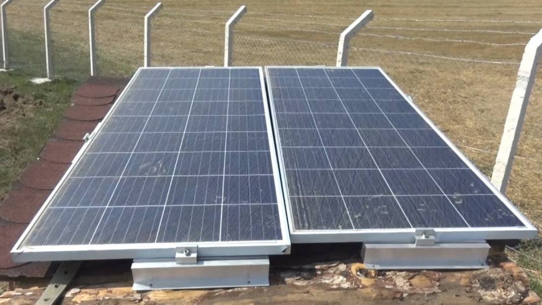 'Boğaziçi'li çiftçi paraya para demiyor! Kilosu 50 bin lira 4