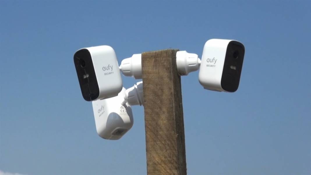 'Boğaziçi'li çiftçi paraya para demiyor! Kilosu 50 bin lira 6