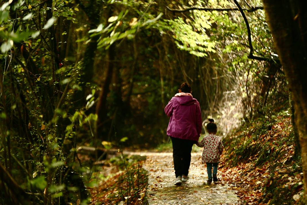 Doğa kışa hazırlanıyor 1