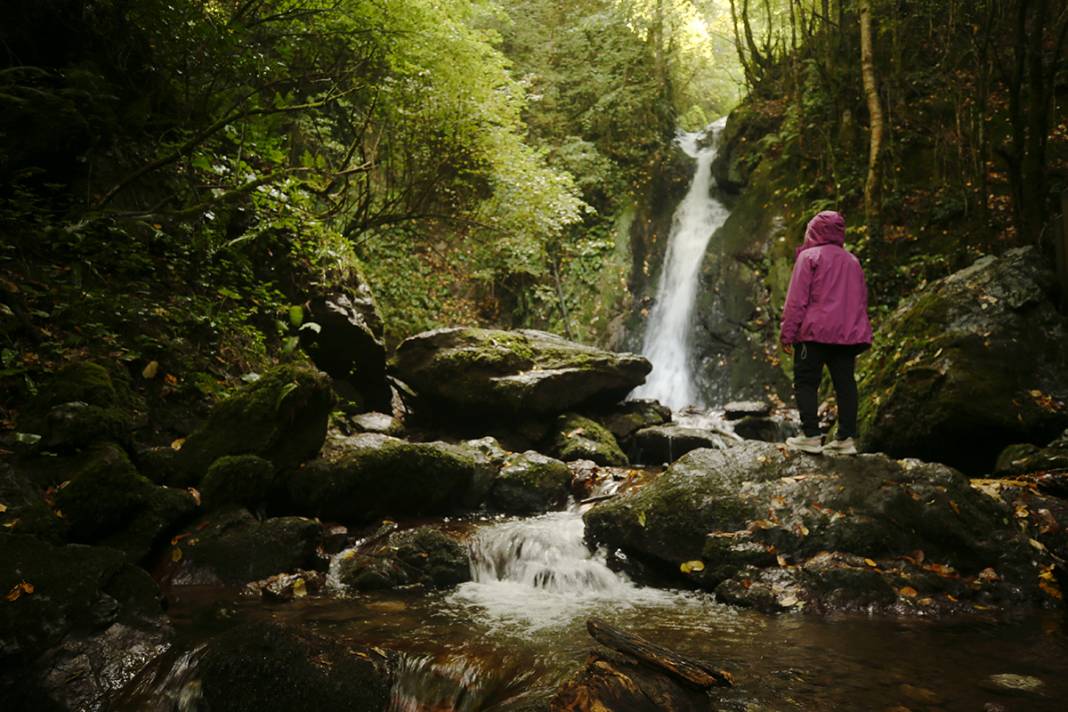 Doğa kışa hazırlanıyor 2