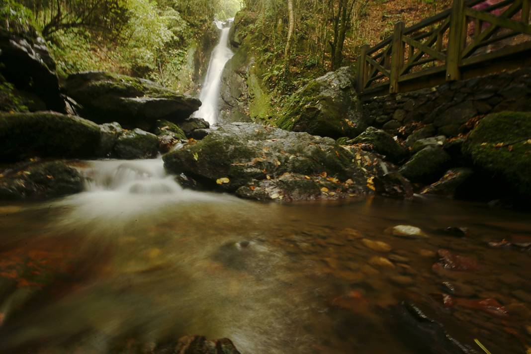 Doğa kışa hazırlanıyor 3