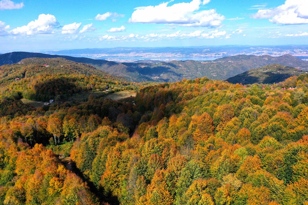 Kocaeli'de sonbaharın renkleri görenleri büyüledi 5