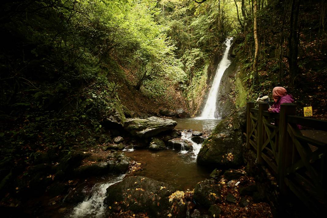 Doğa kışa hazırlanıyor 4