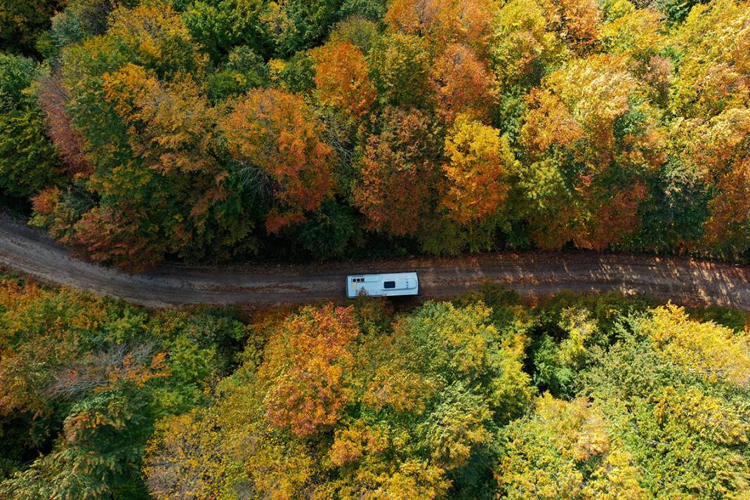Kocaeli'de sonbaharın renkleri görenleri büyüledi 6
