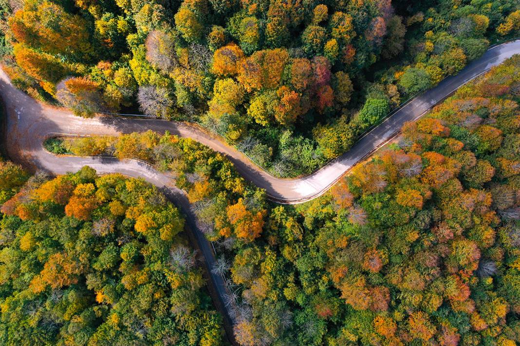 Kocaeli'de sonbaharın renkleri görenleri büyüledi 7