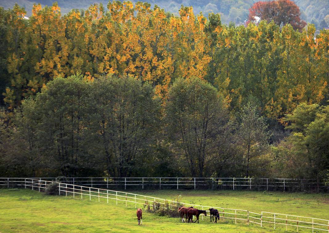 Doğa kışa hazırlanıyor 5