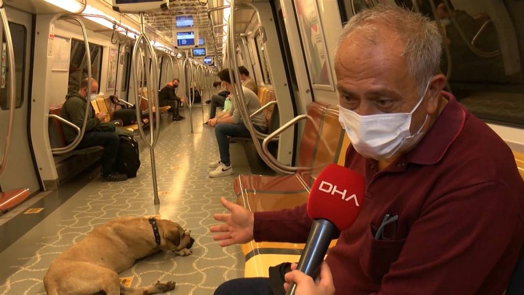 Boji bir günde 29 durak gezdi! En çok tercih ettiği hat ise... 12