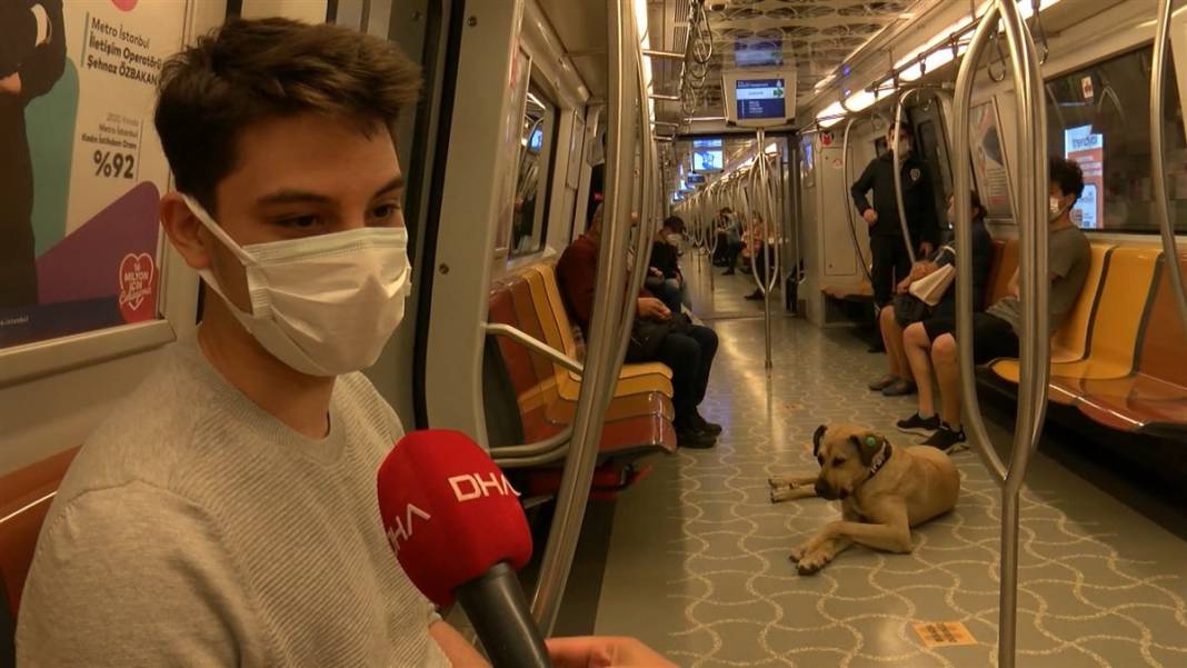 Boji bir günde 29 durak gezdi! En çok tercih ettiği hat ise... 13