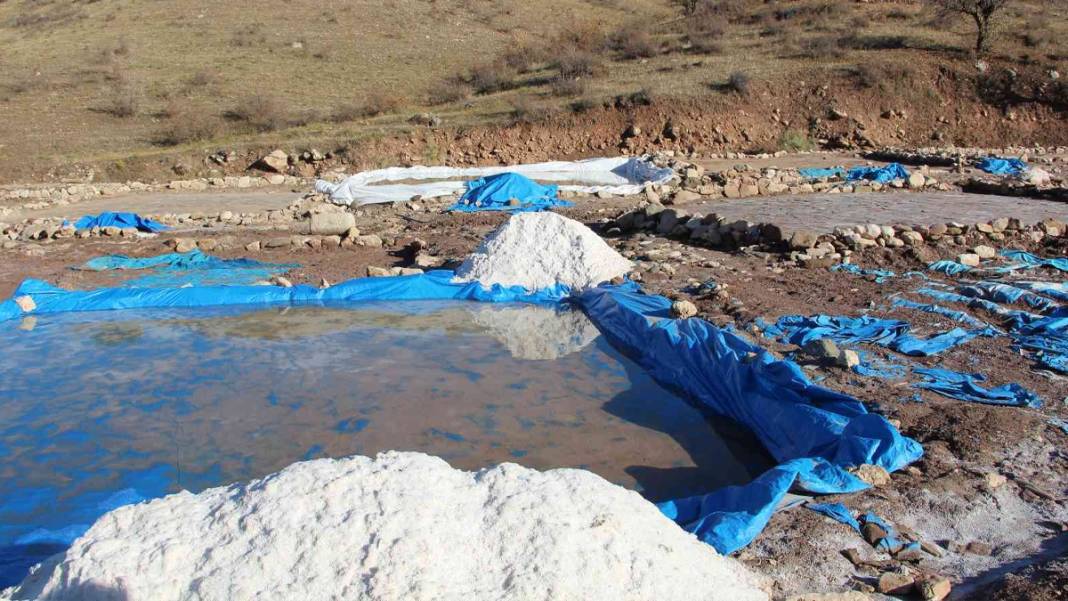 Ekmeklerini 'tuz'dan çıkarıyorlar 3