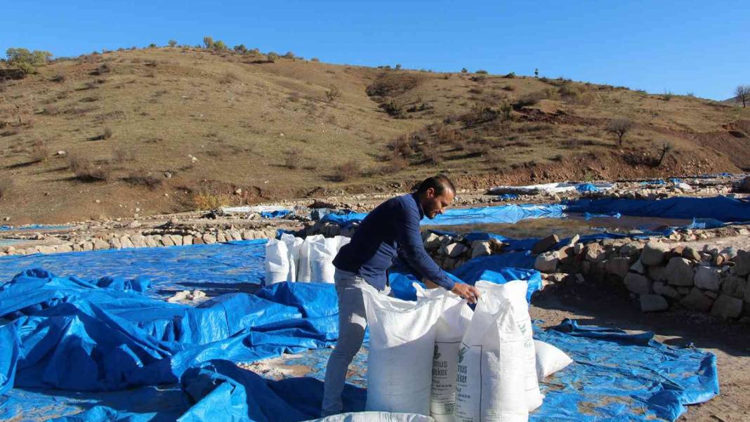 Ekmeklerini 'tuz'dan çıkarıyorlar 4