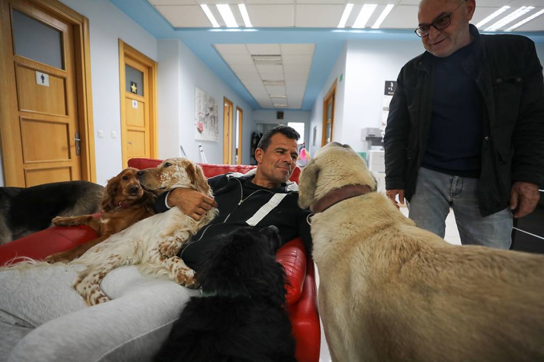 Bu fabrikada çalışmak için kedi ve köpek sevmek şart 1