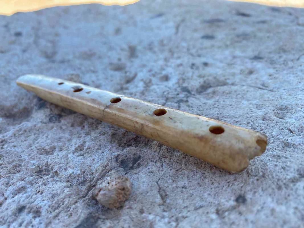 Tarihi Zerzevan Kalesi’nde bulundu: 1600 yıllık! 4