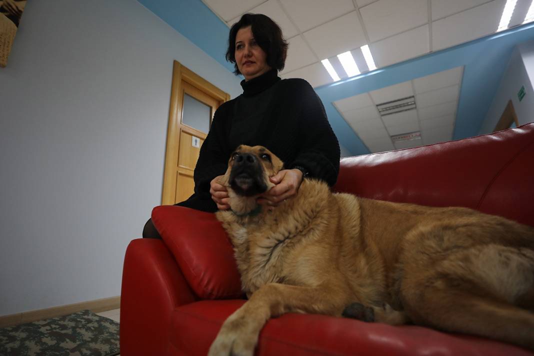 Bu fabrikada çalışmak için kedi ve köpek sevmek şart 16