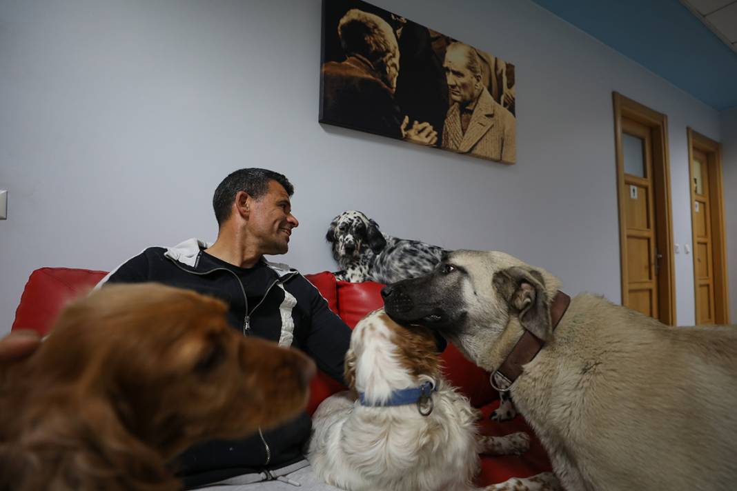 Bu fabrikada çalışmak için kedi ve köpek sevmek şart 17