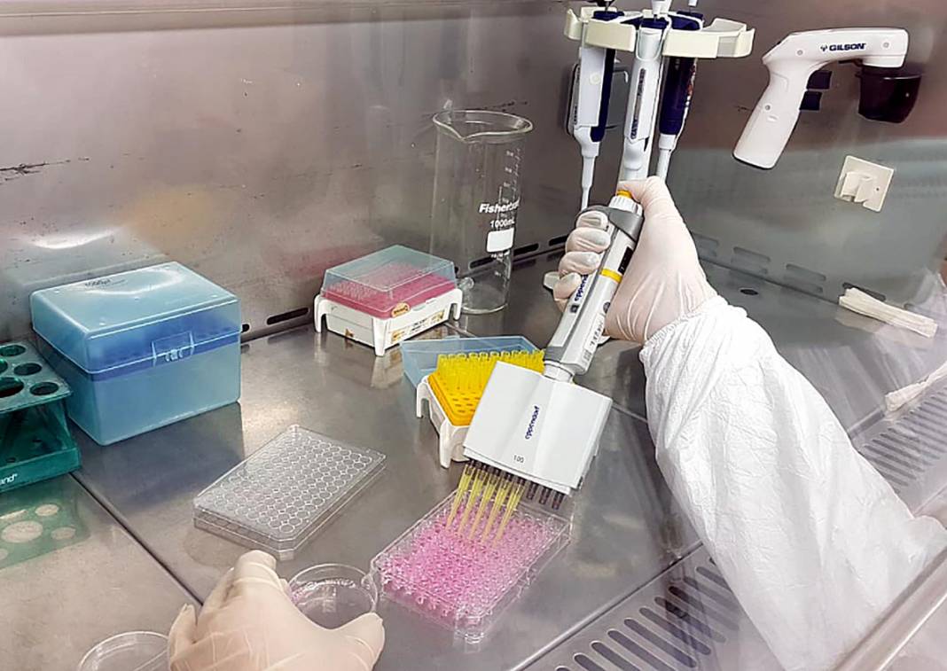 Yerli aşıda ilk sevkiyat: TURKOVAC Ankara'da 3