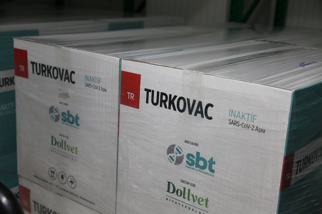 Yerli aşıda ilk sevkiyat: TURKOVAC Ankara'da 8