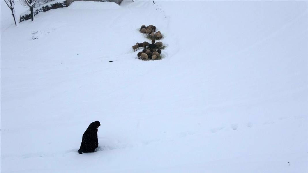 1600 rakımlı köy kara gömüldü! Evlerinden zor çıktılar 4