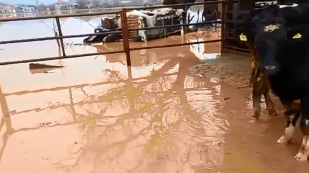 Burdur'da dere taştı, Antalya'da denizin rengi değişti 7