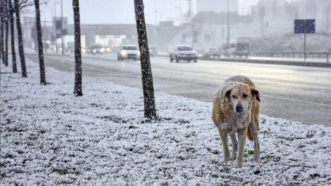 İstanbul kartpostal gibi: İşte doyumsuz kar manzaraları 4