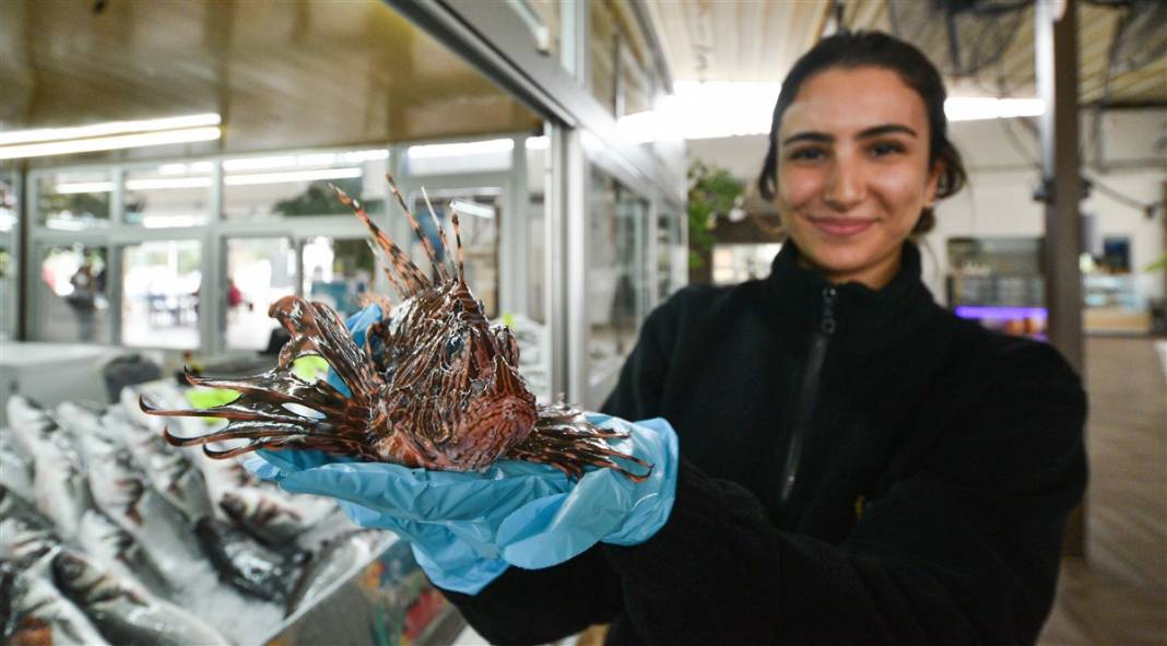Zehirli ama yok satıyor! Meraklısı çok, kilosu ise 150 lira 3