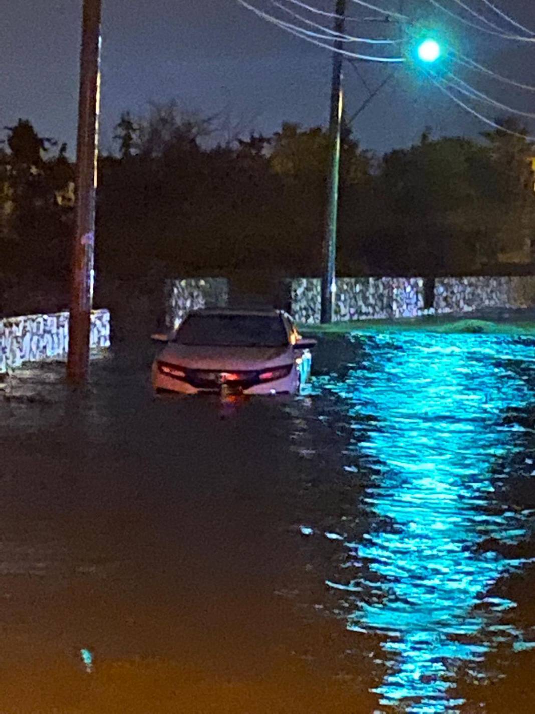 Muğla'da sel felaketi 12