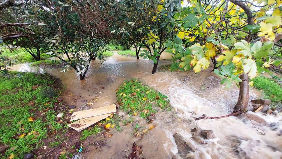 Muğla'da sel felaketi 6