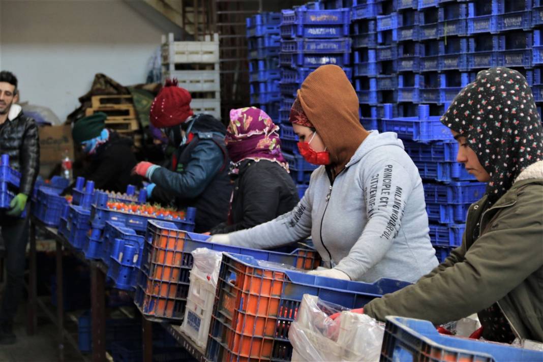 Dondurucu soğuklar toptancı halini de vurdu, fiyatlar yüzde 50 arttı 14