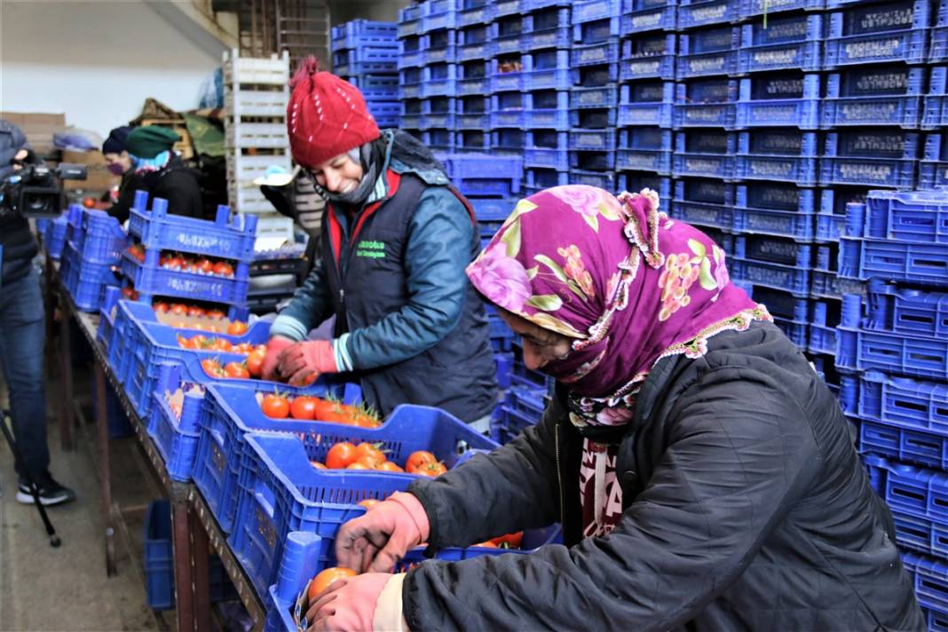 Dondurucu soğuklar toptancı halini de vurdu, fiyatlar yüzde 50 arttı 5