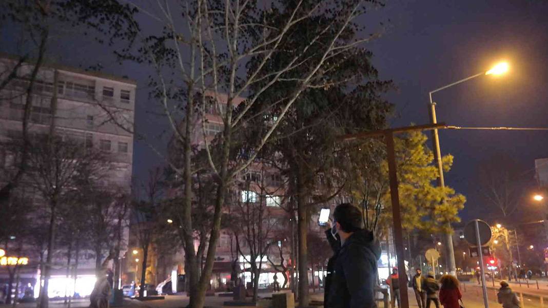 Sığırcık kuşları her akşam dans gösterisi ile mahalle sakinlerini büyülüyorlar 6