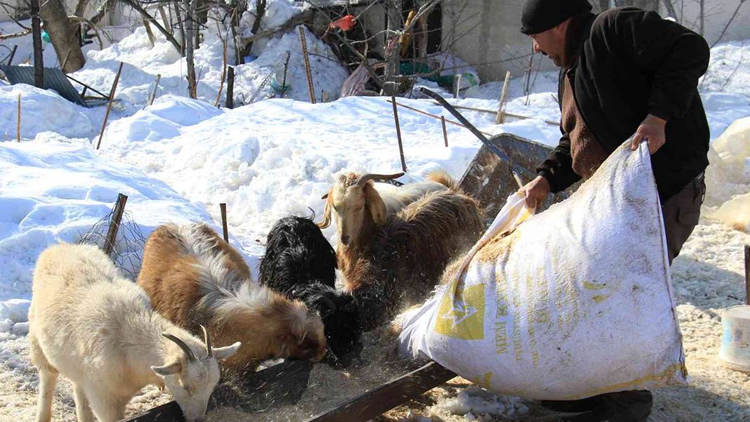 En son 40 yıl önce böyle kar yağmıştı... Yılın 12 ayı sıcak olan kent, kara gömüldü 6