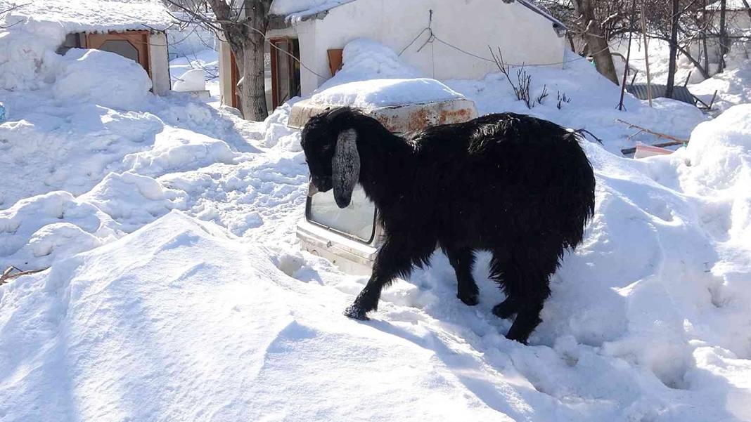 En son 40 yıl önce böyle kar yağmıştı... Yılın 12 ayı sıcak olan kent, kara gömüldü 5