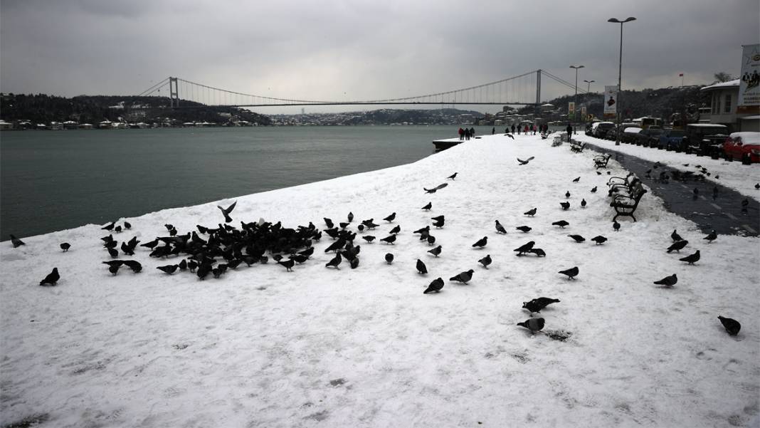 İstanbul kartpostal gibi: Kent sakinleri karın keyfini çıkardı 8