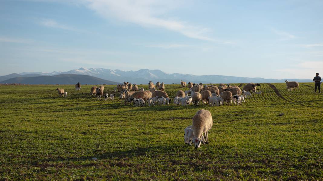 Tunceli'nin bir yanı yazı, bir yanı kışı yaşıyor 3